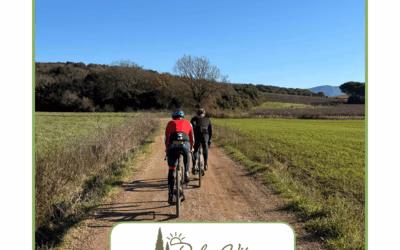 Bikeferien Massa Marittima