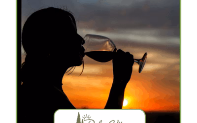 Wein & Bike in der Toskana / Strade del vino